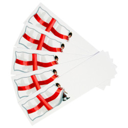 St George's Flag Mini Briefs