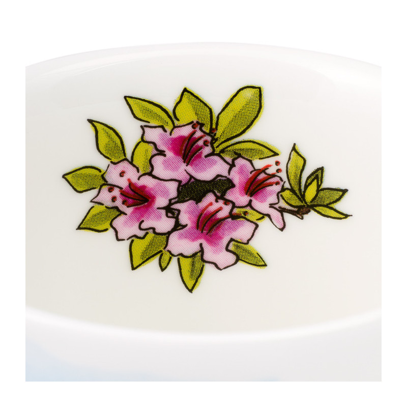 Scotney Castle National Trust Mug